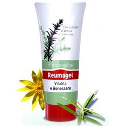 RECOVER GEL PFERDESALBE 200 ML - Angeli Pharm