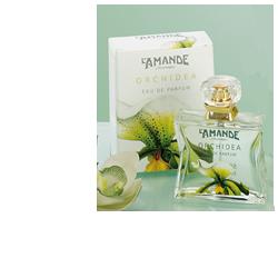L'AMANDE ORCHIDEA EAU DE PARFUM 50 ML - Angeli Pharm