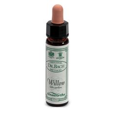 AINSWORTHS WILLOW 10ML - Angeli Pharm