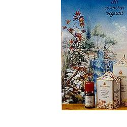 CALENDULA OLIO 100ML - Angeli Pharm