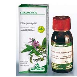 GEMMOSOL 28 OLIVO 50ML - Angeli Pharm