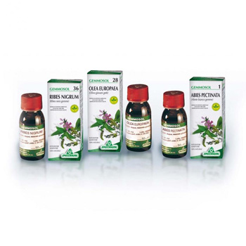 GEMMOSOL 46 TIGLIO ARGEN 50ML - Angeli Pharm