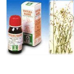 BORSA PASTORE 4 50ML TM - Angeli Pharm