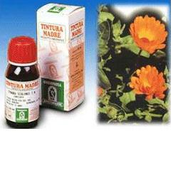 CALENDULA OFF 5 50ML TM - Angeli Pharm