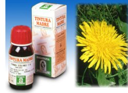 TARASSACO 28 50ML TM - Angeli Pharm