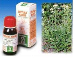 ACHILLEA 51 TINTURA MADRE 50 ML - Angeli Pharm