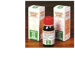 ERISIMO 61 50ML TM - Angeli Pharm