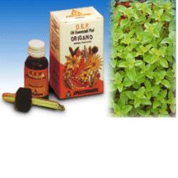 ORIGANO OLIO ESSENZIALE PURO 10 ML - Angeli Pharm