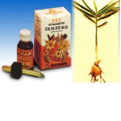 ZENZERO OLIO ESSENZIALE PURO 10 ML - Angeli Pharm