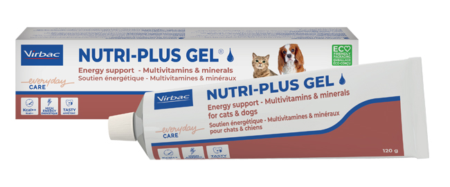 NUTRIPLUS GEL PASTA ORALE 120 G - Angeli Pharm