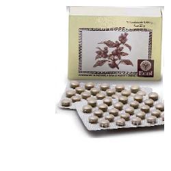 SALICE 50 TAVOLETTE 805 - Angeli Pharm