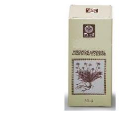 GINKGO BILOBA ESTRATTO ANALCOLICO 50 ML - Angeli Pharm