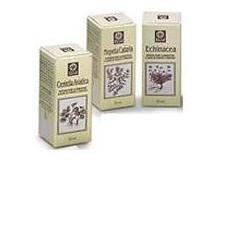 NEPETA CATARIA ESTRATTO ANALCOLICO 50 ML - Angeli Pharm