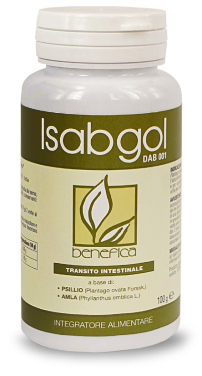 DAB 001 ISABGOL 100 G - Angeli Pharm