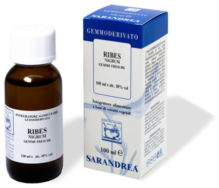 RIBES NIGRUM 100 ML MACERATO GLICERICO - Angeli Pharm