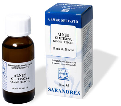 ALNUS GLUTINOSA 100 ML MACERATO GLICERICO - Angeli Pharm