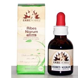 FITOBLASTO RIBES NIGRUM 50 ML - Angeli Pharm