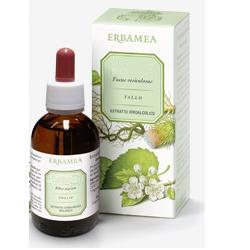PILOSELLA PARTI AEREE ESTRATTO IDROALCOLICO 50 ML - Angeli Pharm