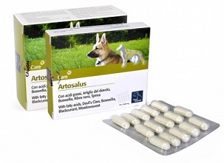 ORME NAT ARTOSALUS 60 COMPRESSE - Angeli Pharm