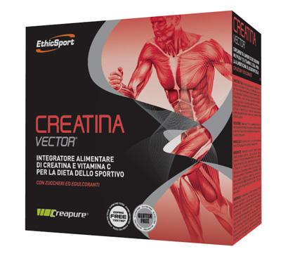 ETHICSPORT CREATINA VECTOR 20 BUSTINE 8 G - Angeli Pharm