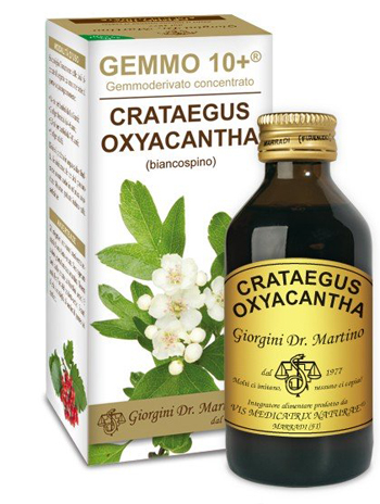 GEMMO 10+ BIANCOSPINO LIQUIDO ANALCOLICO 100 ML - Angeli Pharm