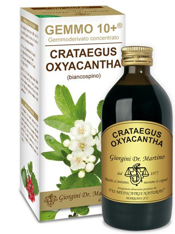 GEMMO 10+ BIANCOSPINO LIQUIDO ANALCOLICO 200 ML - Angeli Pharm
