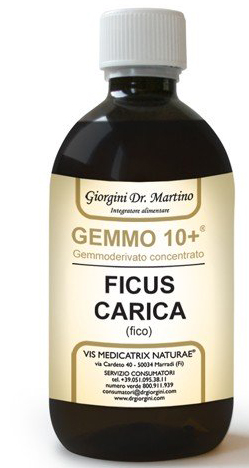 GEMMO 10+ FICO LIQUIDO ANALCOLICO 500 ML - Angeli Pharm
