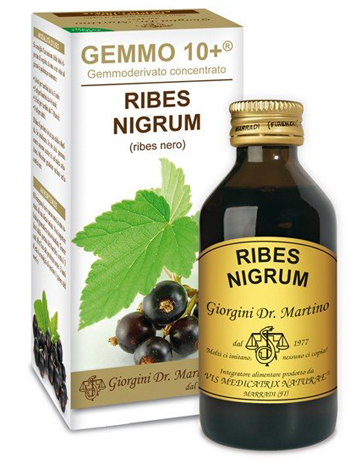 GEMMO 10+ RIBES NERO 100 ML LIQUIDO ANALCOLICO - Angeli Pharm