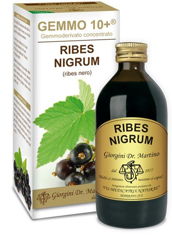 GEMMO 10+ RIBES NERO 200 ML LIQUIDO ANALCOLICO - Angeli Pharm