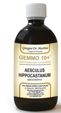 GEMOO 10+ GEMMODERIVATO CONCENTRATO IPPOCASTANO LIQUIDO ANALCOLICO AESCULUS HIPPOCASTANUM IPPOCASTANO 500 ML - Angeli Pharm