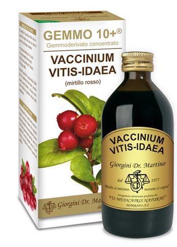 GEMMO 10+ MIRTILLO ROSSO LIQUIDO ANALCOLICO 200 ML - Angeli Pharm