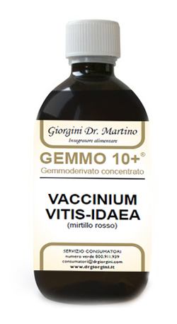 GEMMO 10+ MIRTILLO ROSSO LIQUIDO ANALCOLICO 500 ML - Angeli Pharm