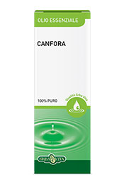 CANFORA OLIO ESSENZIALE 10 ML - Angeli Pharm