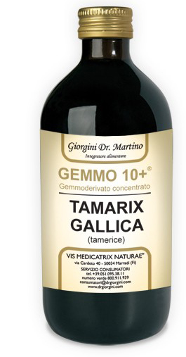 GEMMO 10+ GEMMODERIVATO CONCENTRATO LIQUIDO ANALCOLICO TAMARIX GALLICA TAMERICE 500 ML - Angeli Pharm