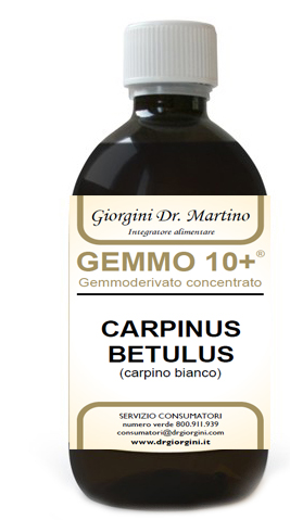 GEMMO 10+ CARPINO BIANCO 500 ML LIQUIDO ANALCOLICO - Angeli Pharm