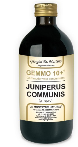 GEMMO 10+ GINEPRO 500 ML LIQUIDO ANALCOLICO - Angeli Pharm