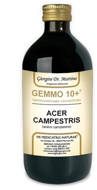 GEMMO 10+ ACERO CAMPESTRE 500 ML LIQUIDO ANALCOLICO - Angeli Pharm