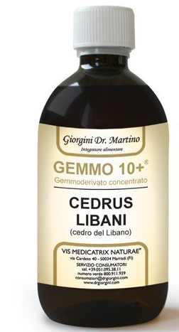 GEMMO 10+ CEDRO LIBANO 500 ML LIQUIDO ANALCOLICO - Angeli Pharm