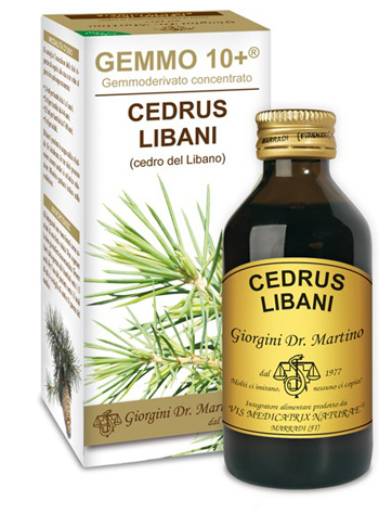 GEMMO 10+ CEDRO DEL LIBANO 100 ML LIQUIDO ANALCOLICO - Angeli Pharm