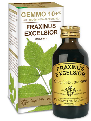 GEMMO 10+ FRASSINO 100 ML LIQUIDO ANALCOLICO - Angeli Pharm