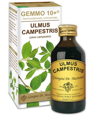 GEMMO 10+ OLMO CAMPESTRE 100 ML LIQUIDO ANALCOLICO - Angeli Pharm