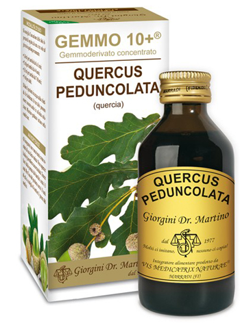 GEMMO 10+ QUERCIA 100 ML LIQUIDO ANALCOLICO - Angeli Pharm