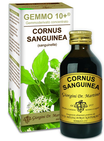 GEMMO 10+ SANGUINELLA 100 ML LIQUIDO ANALCOLICO - Angeli Pharm