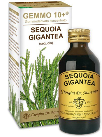 GEMMO 10+ SEQUOIA 100 ML LIQUIDO ANALCOLICO - Angeli Pharm