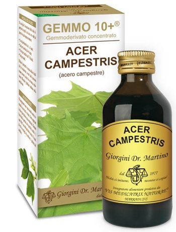 GEMMO 10+ ACERO CAMPESTRE 100 ML LIQUIDO ANALCOLICO - Angeli Pharm