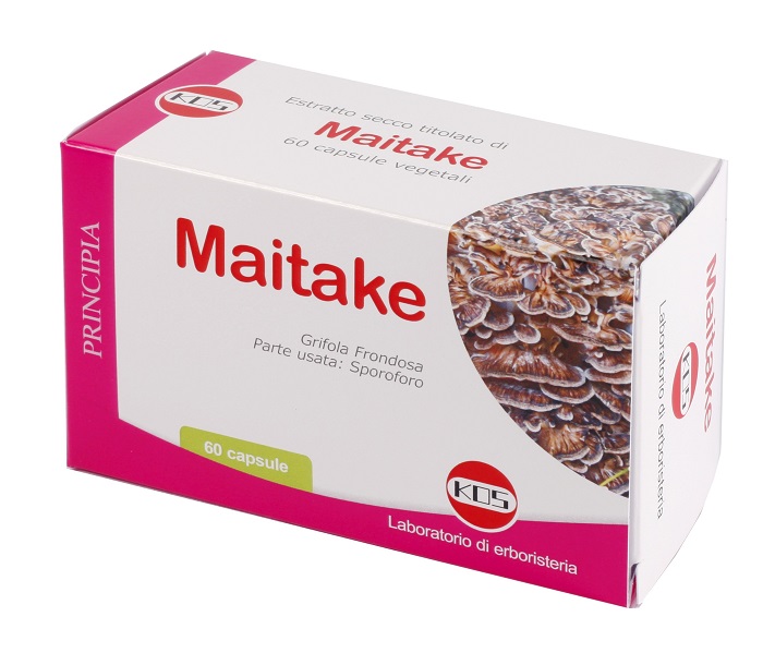 MAITAKE ESTRATTO SECCO 60 CAPSULE - Angeli Pharm