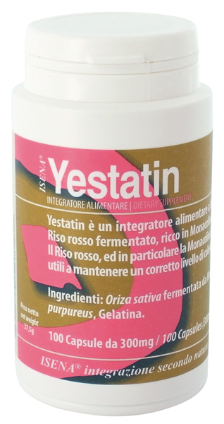 YESTATIN 100 CAPSULE - Angeli Pharm