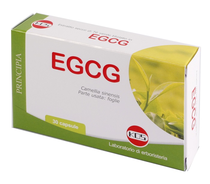 EGCG THE VERDE 30 CAPSULE NUOVA FORMULA - Angeli Pharm