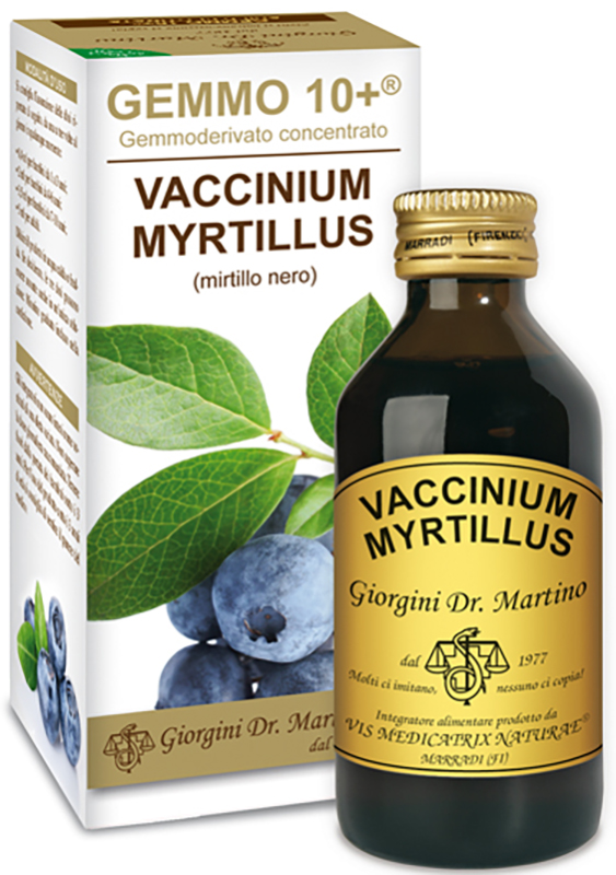 GEMMO 10+ GEMMODERIVATO CONCENTRATO VACCINIUM MYRTILLUS MIRTILLO NERO SENZA ALCOOL 100 ML - Angeli Pharm