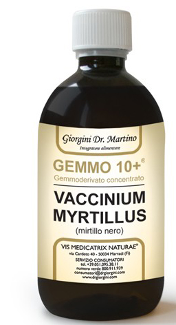 GEMMO 10+ MIRTILLO NERO LIQUIDO ANALCOLICO 500 ML - Angeli Pharm